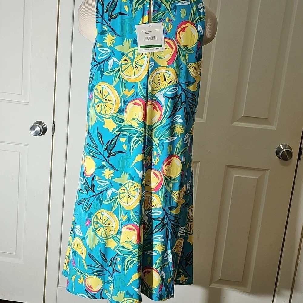Cappagallo dress NWT Floral Fruit Print Sleeveless Dress Blue and Yellow Size Lg - Picture 6 of 6